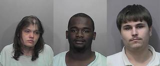 LEE, ROBINSON, SANDSTROM